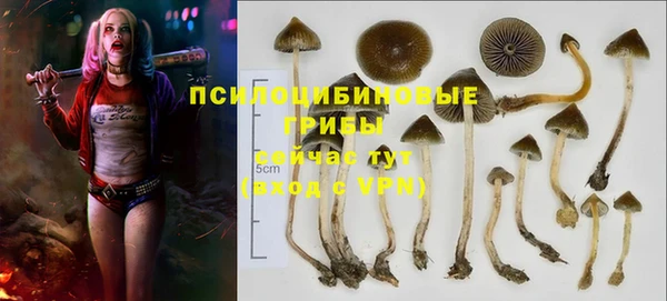 PSILOCYBIN Армянск