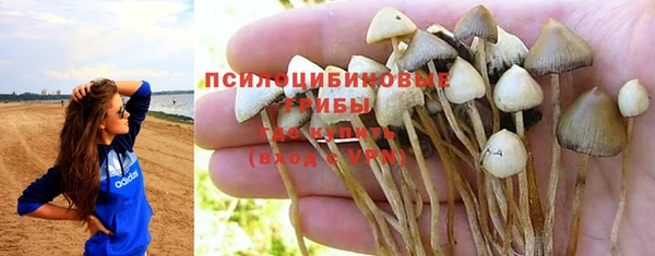 PSILOCYBIN Армянск